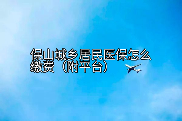 保山城乡居民医保怎么缴费（附平台）