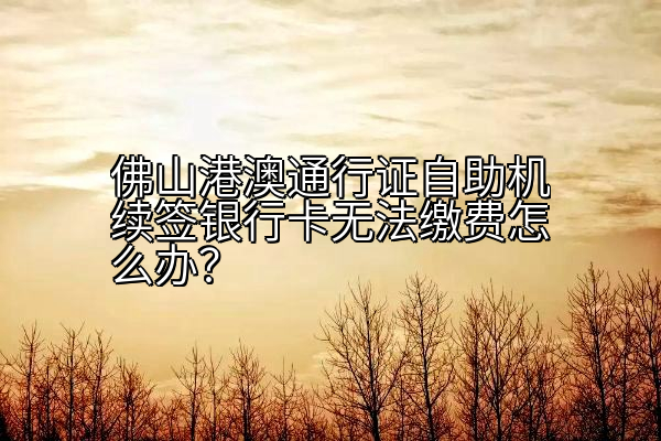 佛山港澳通行证自助机续签银行卡无法缴费怎么办？