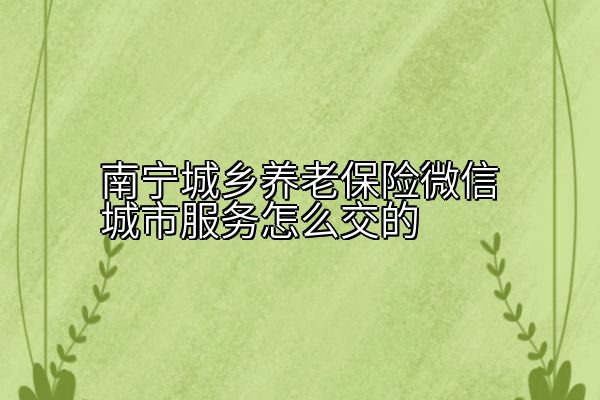 南宁城乡养老保险微信城市服务怎么交的