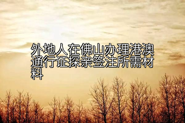 外地人在佛山办理港澳通行证探亲签注所需材料