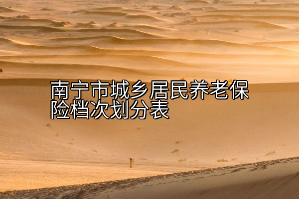 南宁市城乡居民养老保险档次划分表