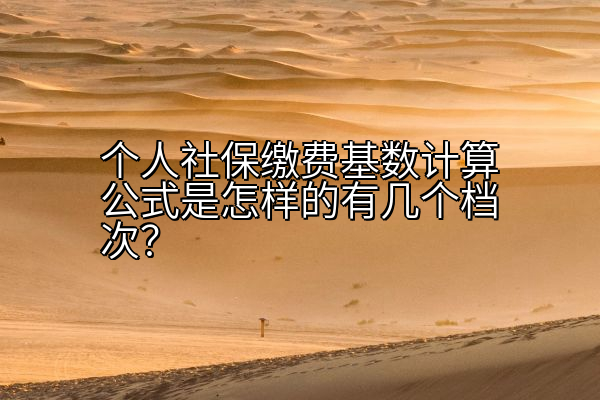 个人社保缴费基数计算公式是怎样的有几个档次？