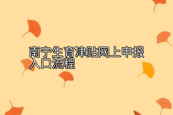 南宁生育津贴网上申报入口流程