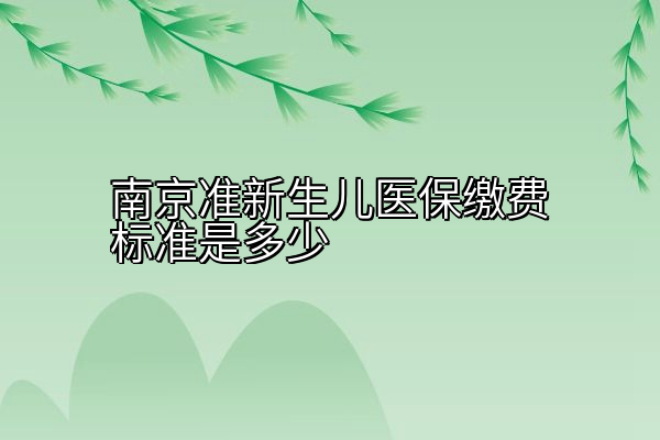 南京准新生儿医保缴费标准是多少