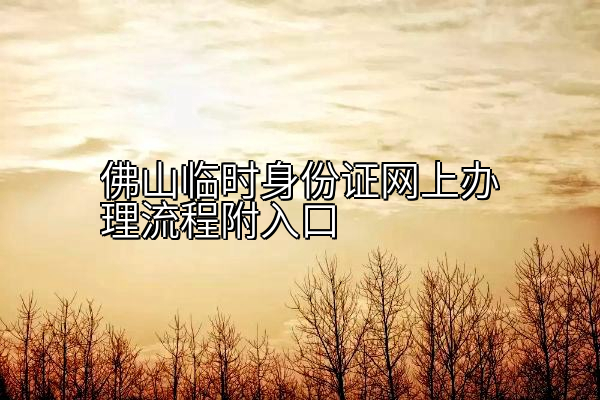 佛山临时身份证网上办理流程附入口