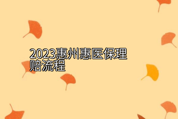 2023惠州惠医保理赔流程