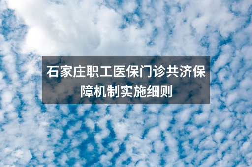 石家庄职工医保门诊共济保障机制实施细则