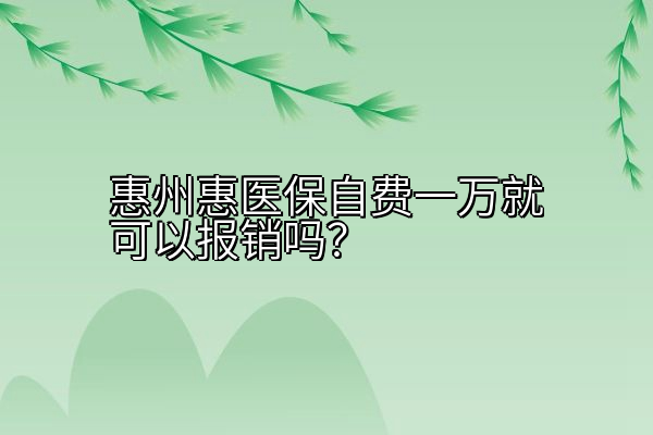 惠州惠医保自费一万就可以报销吗？