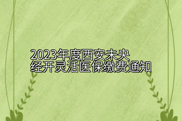 2023年度西安未央经开灵活医保缴费通知