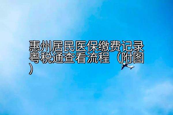 惠州居民医保缴费记录粤税通查看流程（附图）