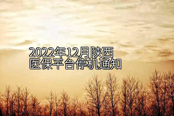 2022年12月陕西医保平台停机通知