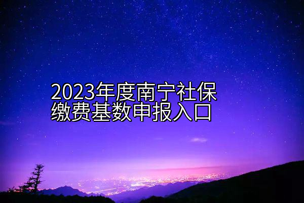 2023年度南宁社保缴费基数申报入口
