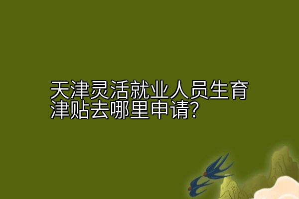 天津灵活就业人员生育津贴去哪里申请？