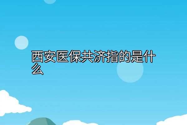西安医保共济指的是什么