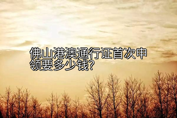 佛山港澳通行证首次申领要多少钱？