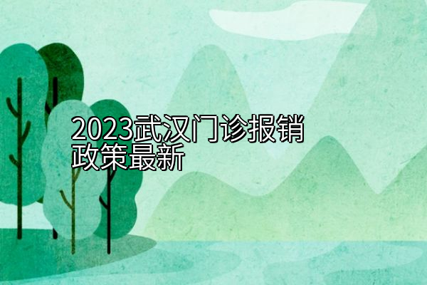 2023武汉门诊报销政策最新