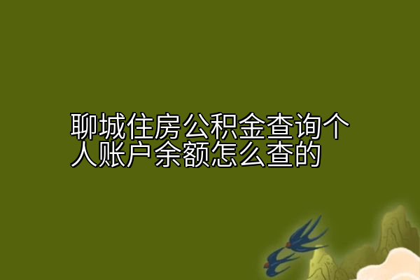 聊城住房公积金查询个人账户余额怎么查的