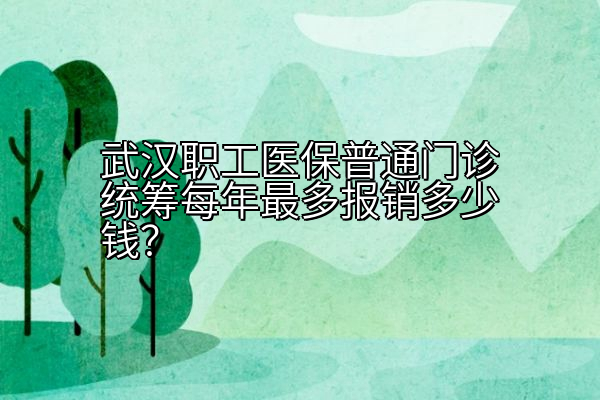 武汉职工医保普通门诊统筹每年最多报销多少钱？