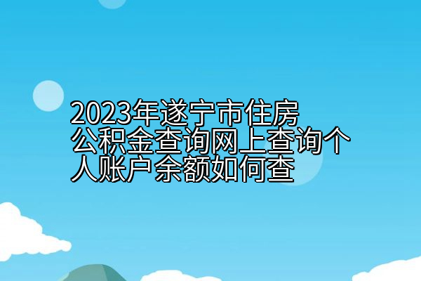 2023年遂宁市住房公积金查询网上查询个人账户余额如何查