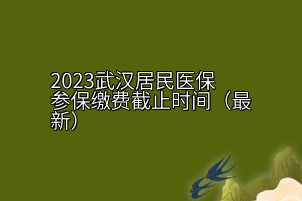 2023武汉居民医保参保缴费截止时间（最新）
