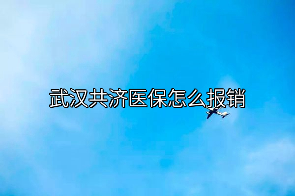 武汉共济医保怎么报销