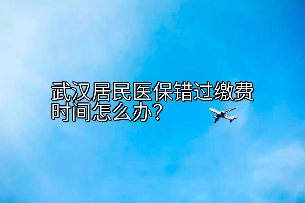 武汉居民医保错过缴费时间怎么办？