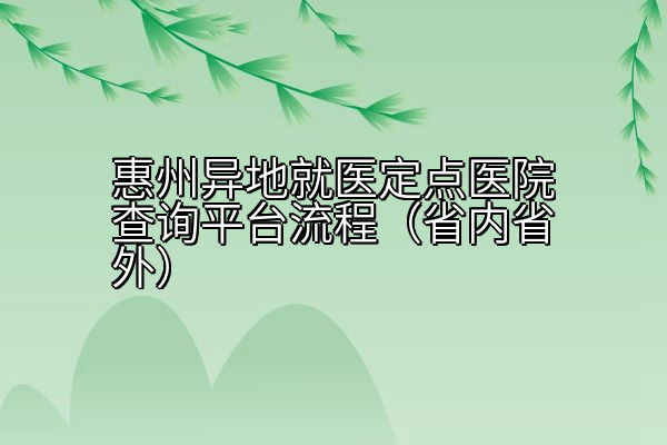 惠州异地就医定点医院查询平台流程（省内省外）