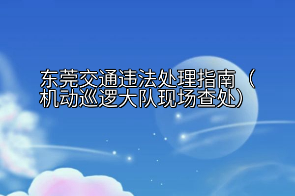 东莞交通违法处理指南（机动巡逻大队现场查处）