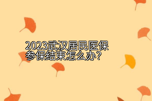 2023武汉居民医保参保结束怎么办？