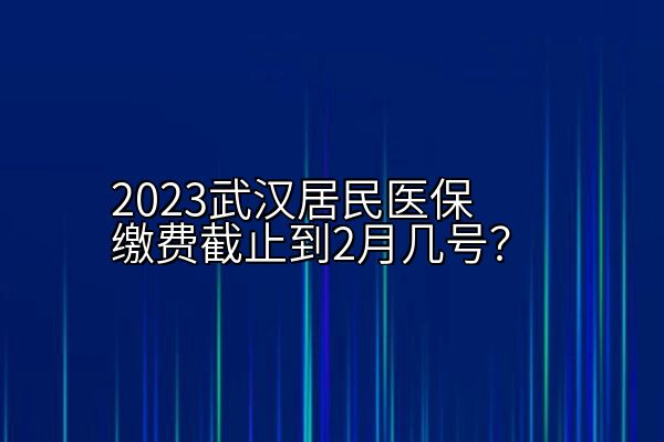 2023武汉居民医保缴费截止到2月几号？