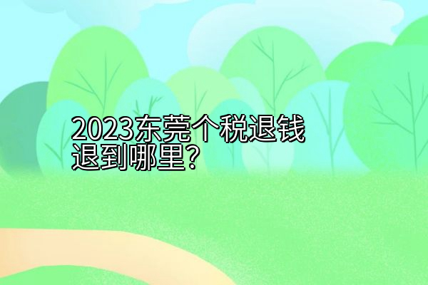 2023东莞个税退钱退到哪里？