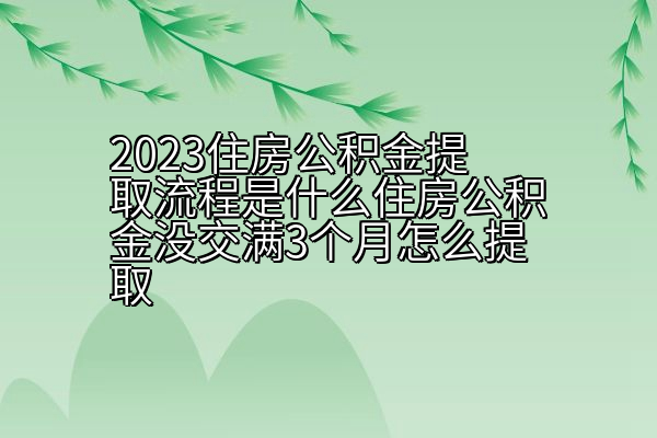 2023住房公积金提取流程是什么住房公积金没交满3个月怎么提取