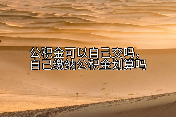 公积金可以自己交吗，自己缴纳公积金划算吗