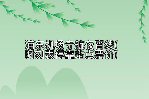 浦东机场守航夜宵线(时刻表停靠站点票价)