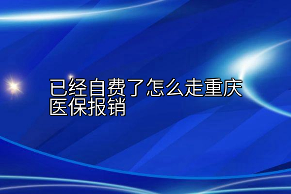 已经自费了怎么走重庆医保报销