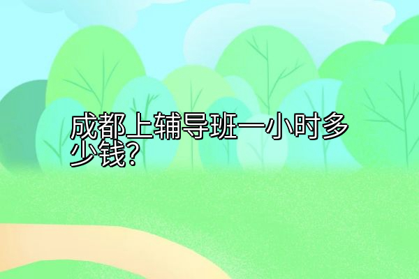 成都上辅导班一小时多少钱？