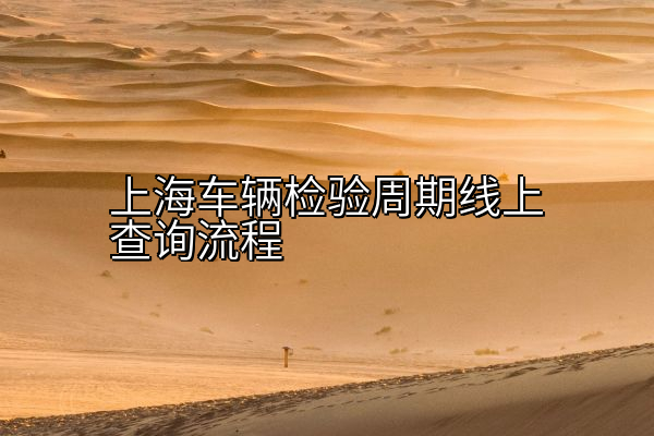上海车辆检验周期线上查询流程