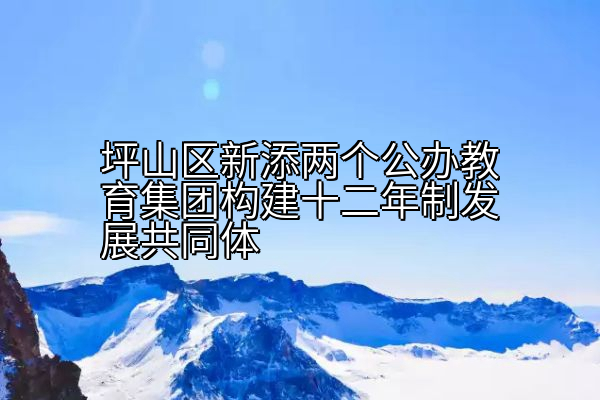 坪山区新添两个公办教育集团构建十二年制发展共同体