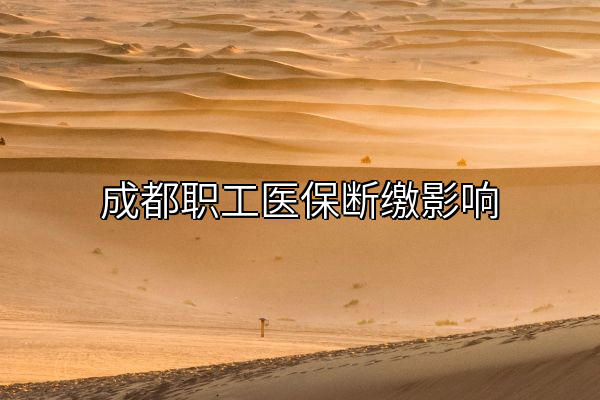 成都职工医保断缴影响
