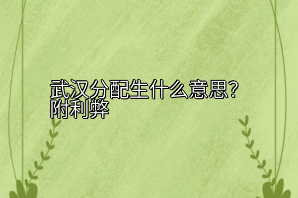 武汉分配生什么意思？附利弊