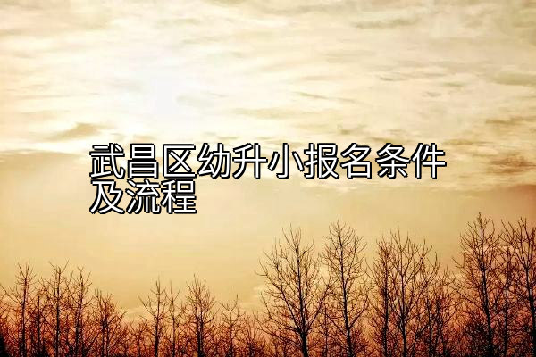 武昌区幼升小报名条件及流程