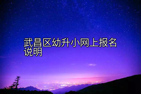 武昌区幼升小网上报名说明