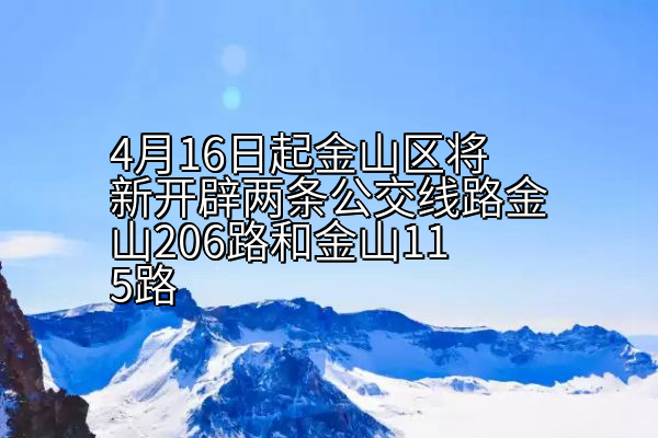 4月16日起金山区将新开辟两条公交线路金山206路和金山115路