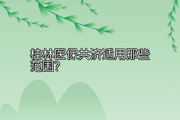 桂林医保共济适用那些范围？
