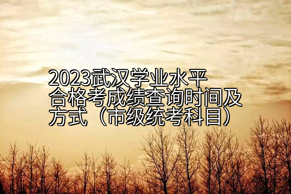 2023武汉学业水平合格考成绩查询时间及方式（市级统考科目）
