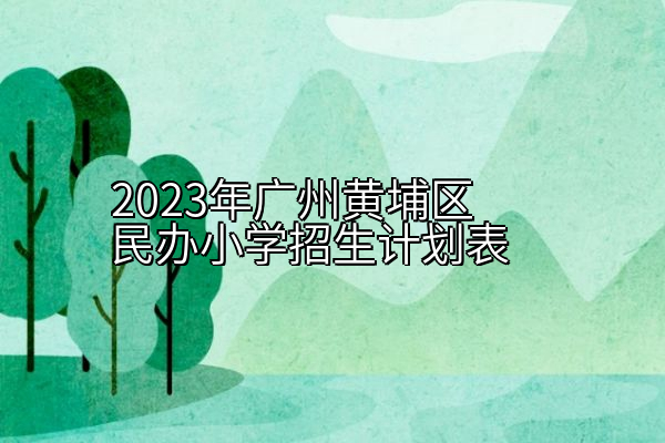 2023年广州黄埔区民办小学招生计划表