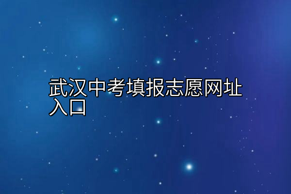 武汉中考填报志愿网址入口