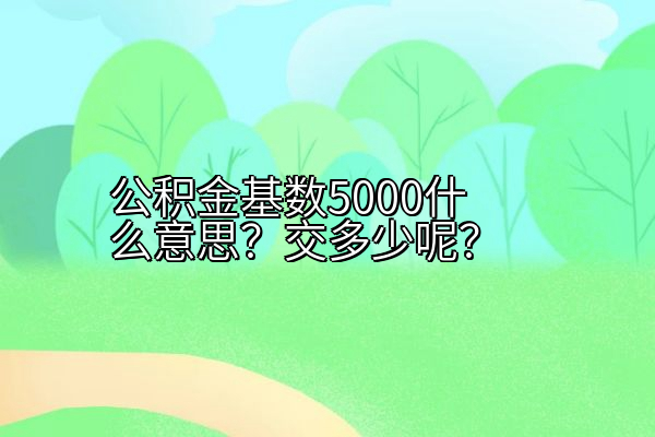 公积金基数5000什么意思？交多少呢？