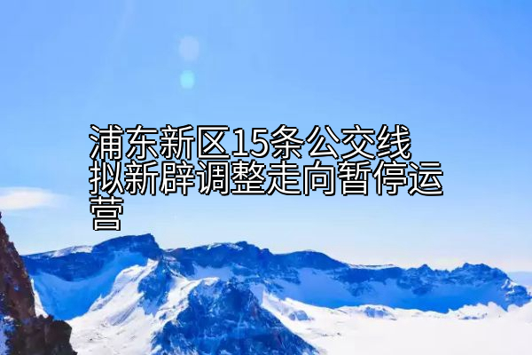 浦东新区15条公交线拟新辟调整走向暂停运营