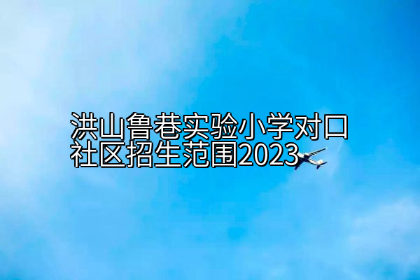 洪山鲁巷实验小学对口社区招生范围2023